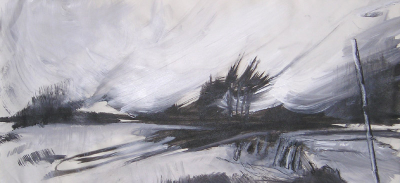 landschap