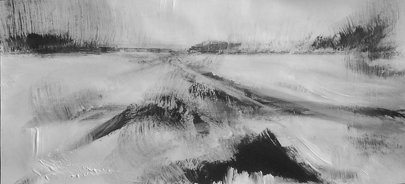 landschap