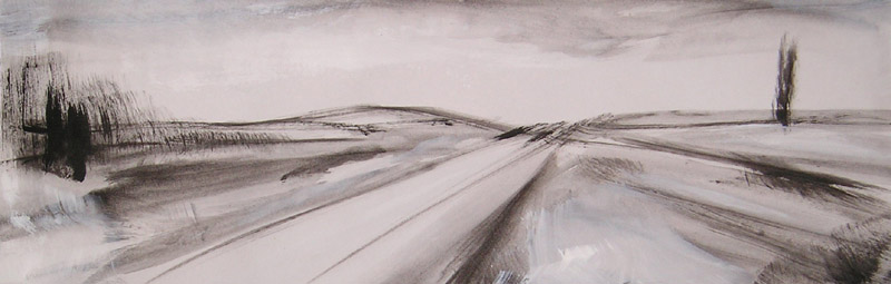 landschap