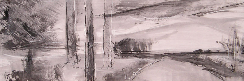 landschap