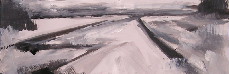 landschap