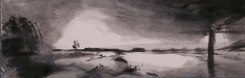 landschap